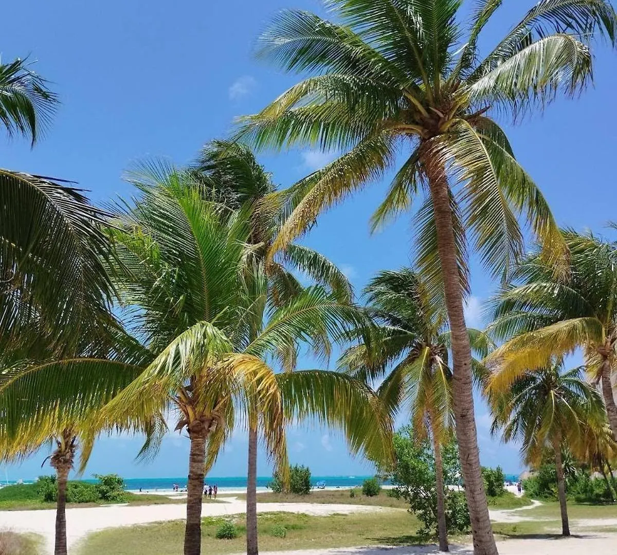 Arena Room Cancun